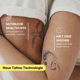 Special Starter Set Deal