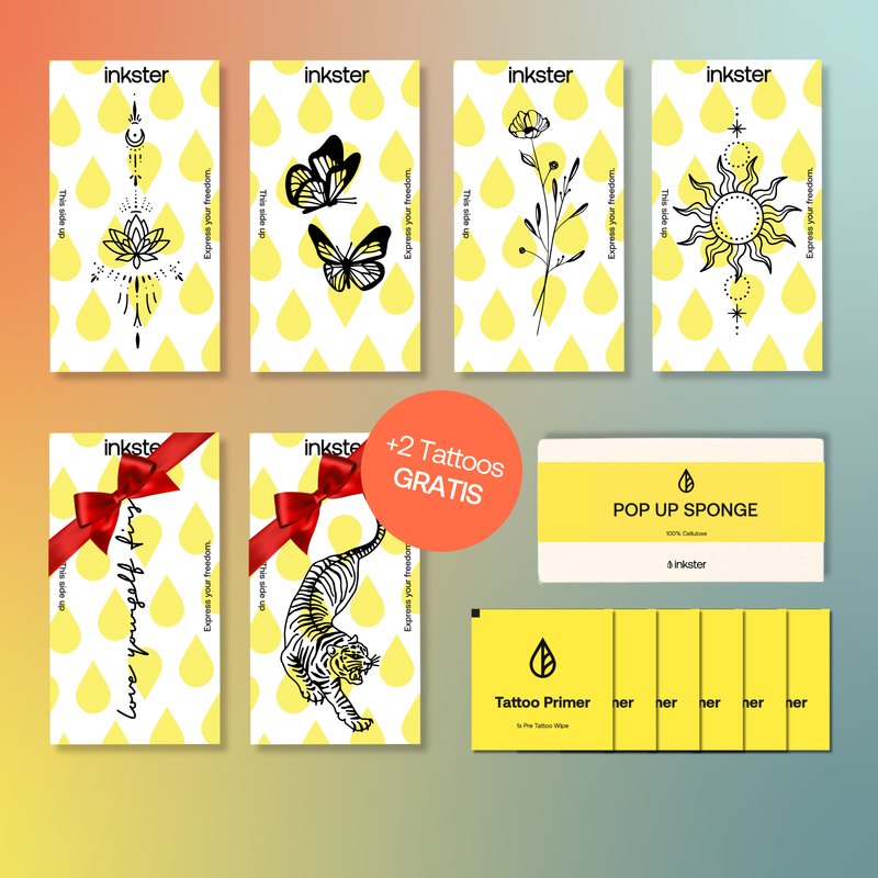 Festival Starter Set Deal